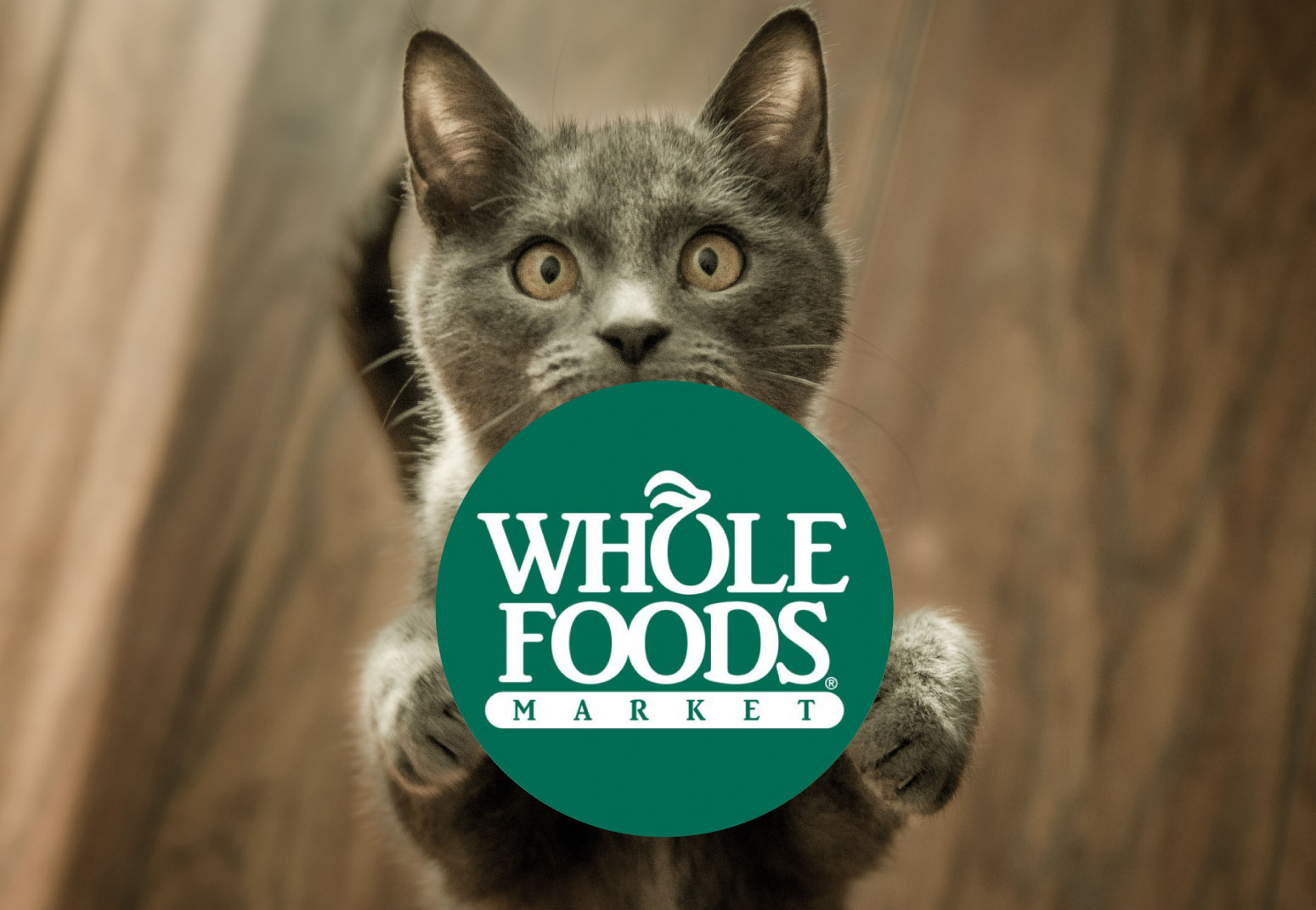 website-blog-whole-foods Kitten and Whole Foods logo